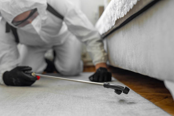Professional Pest Control technician working in Twinsburg Heights, OH