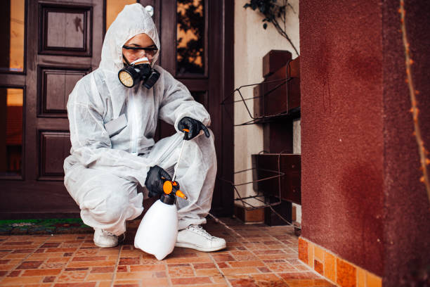 Reliable Rodent Control contractor in Twinsburg Heights, OH by Nex Pest Control